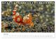 Thumbnail-11