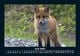 Thumbnail-10
