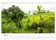 Thumbnail-10