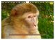 Thumbnail-14
