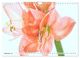 Thumbnail-14