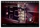 Thumbnail-8