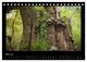 Thumbnail-8