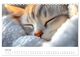 Thumbnail-9