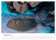 Thumbnail-10