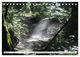 Thumbnail-9