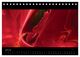 Thumbnail-9