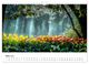 Thumbnail-8