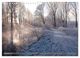 Thumbnail-14