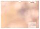 Thumbnail-11