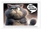 Thumbnail-12