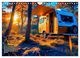 Thumbnail-11