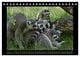 Thumbnail-12