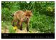 Thumbnail-9