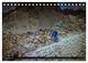 Thumbnail-11