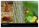 Thumbnail-14