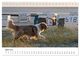 Thumbnail-9