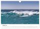 Thumbnail-13