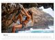 Thumbnail-10