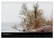 Thumbnail-14