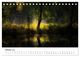 Thumbnail-12