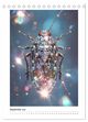 Thumbnail-14