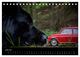 Thumbnail-11