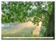Thumbnail-9