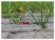 Thumbnail-11