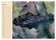 Thumbnail-12