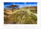 Thumbnail-11