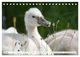 Thumbnail-9