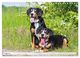 Thumbnail-10