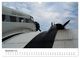 Thumbnail-14