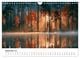 Thumbnail-14