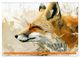Thumbnail-11