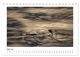 Thumbnail-9