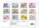 Thumbnail-4
