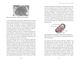 Thumbnail-13
