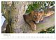 Thumbnail-12