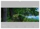 Thumbnail-11
