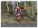 Thumbnail-8