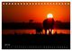 Thumbnail-12