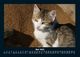 Thumbnail-9