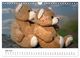 Thumbnail-11