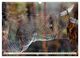 Thumbnail-12