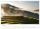 Thumbnail-12