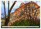Thumbnail-10
