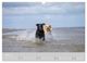 Thumbnail-11