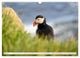 Thumbnail-9